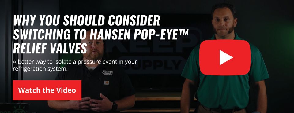 Why You Should Consider Switching to Hansen Pop-Eye™ Relief Valves