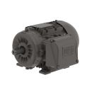 WEG Integral Motors