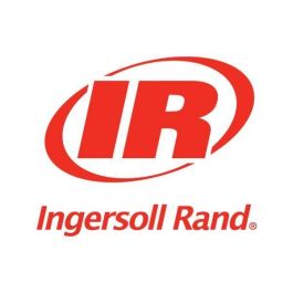 Ingersoll Rand Fits Most Brands AIR COMPRESSOR INTAKE FILTER ELEMENT Champion 