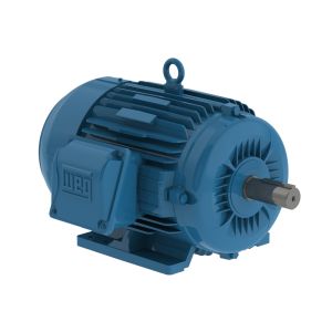 00109ET3H182T-W22 WEG Motor 1HP 8P 182/4T WFF2 - image 1