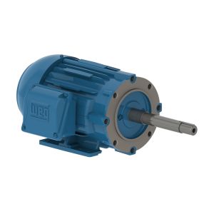 00112ET3E145JP-W22 WEG Motor 1HP 6P 143/5JP WFF2 - image 1