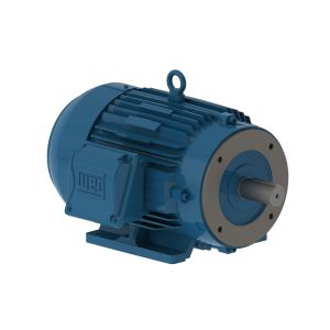 00112ET3E145TC-W22 WEG Motor 1HP 6P 143/5TC WFF2 - image 1