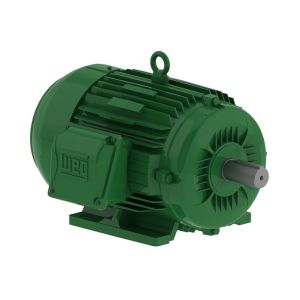 00118EG3E143T-W22 WEG Motor 1HP 4P 143/5T WFF2 - image 1