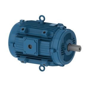 00118EP3EPM143/5Y WEG Motor 1HP 4P 145T WFF1 - image 1