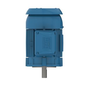 00118ET3ER143TC-W22 WEG Motor 1HP 4P 143TC WFF2 - image 1