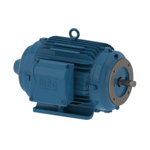00118NT3FVD143TC-W22 WEG Motor 1HP 4P 143/5TC WFF2 - image 1