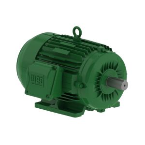 00136EG3E143T-W22 WEG Motor 1HP 2P 143/5T WFF2 - image 1