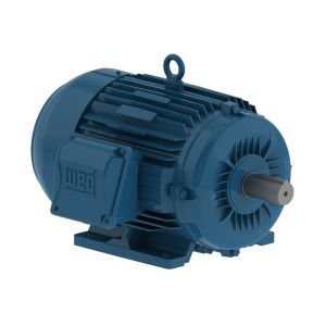 00136ET3E143T-W22 WEG Motor 1HP 2P 143/5T WFF2 - image 1