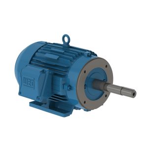 00152ET3E182JP-W22 WEG Motor 1.5HP 6P 182/4JP WFF2 - image 1