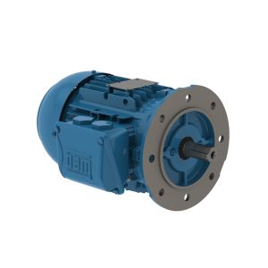 00158ET3WALR90LFF-W2 WEG Motor 2HP 4P 90S/L WAF1 - image 1
