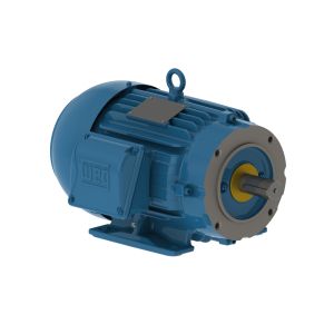 00209ST3QIE213TC-W22 WEG Motor 2HP 8P 213/5TC WFF2 - Image 1