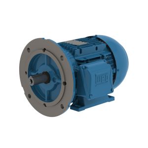 00218ET3EAL100LFF-W2 WEG Motor 3HP 4P 100L WAF1 - image 1