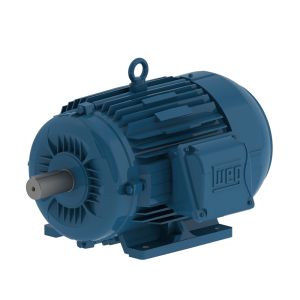 00218ET3W100L-W22 WEG Motor 3HP 4P 100L WFF2 - image 1