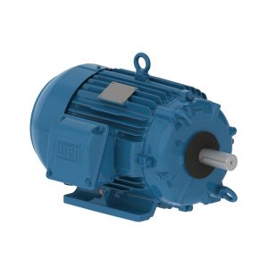 00226EP3QCT213VF1-W2 WEG Motor 0.5/2.0HP 12/6P 213/5T WFF2 - image 1