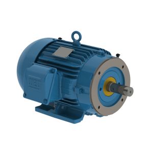 00309ST3QIE215TC-W22 WEG Motor 3HP 8P 213/5TC WFF2 - Image 1