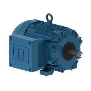 00309XT3E215T WEG MOTOR 3HP 8P 213/5T WFX1
