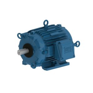 00312AT3PCT213T-W22 WEG Motor 3HP 6P 213/5T WFF2 - Image 1