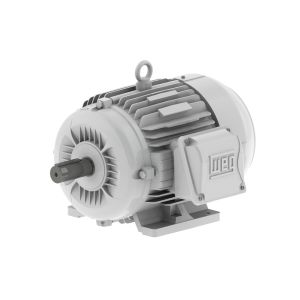 00312ES3EOW215T-W22 WEG Motor 3HP 6P 213/5T WFF2 - Image 1
