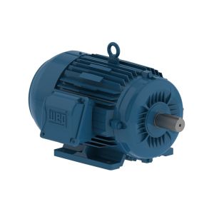 00312ET3E213T-W22S WEG Motor 3HP 6P 213T WFF2 - Image 1