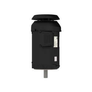 00312ET3ER213TC-S WEG Motor 3HP 6P 213/5TC WCF2 - Image 1