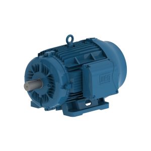 00409ET3Y160M-W22 WEG Motor 5.5HP 8P 160M WFF2 - Image 1