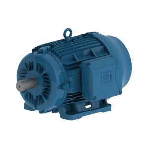 00712ET3E160M-W22 WEG MOTOR 10HP 6P 160M WFF2