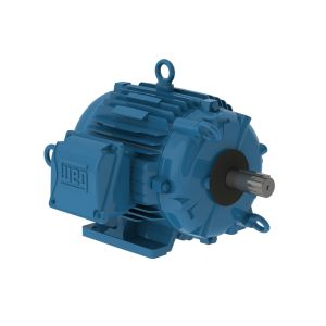 00718AT3ECT213TF1-W2 WEG MOTOR 7.5HP 4P 213T WFF2