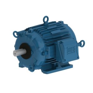 00718AT3PCT213T-W22 WEG MOTOR 7.5HP 4P 213T WFF2
