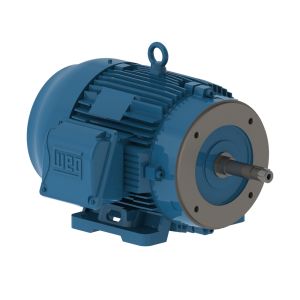 00718ET3E213JM-W22 WEG MOTOR 7.5HP 4P 213/5JM WFF2