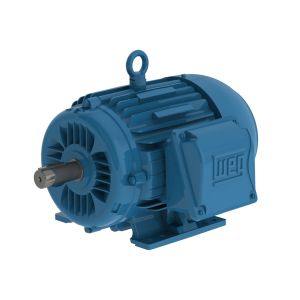00718ET3E213TF2-W22 WEG MOTOR 7.5HP 4P 213/5T WFF2