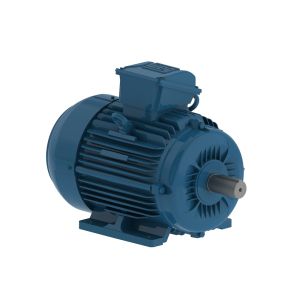 00718ET3E213TF3-W22 WEG MOTOR 7.5HP 4P 213T WFF2
