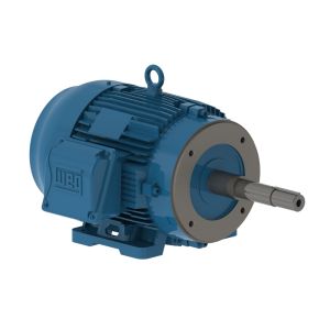 00718ET3H213JP-W22 WEG MOTOR 7.5HP 4P 213/5JP WFF2