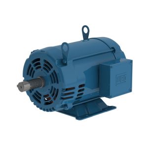 00718OT3P213TF2 WEG MOTOR 7.5HP 4P 213/5T WCA1
