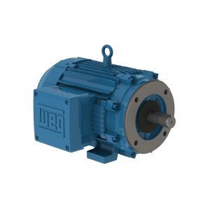 00718XT3H213TC WEG MOTOR 7.5HP 4P 213/5TC WFX1