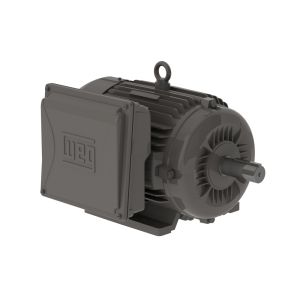 00736ES1B213T-W22 WEG MOTOR 7.5HP 2P 213/5T WFF2