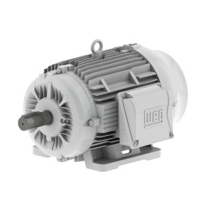 01009ES3EOW286T-W22 WEG Motor 10HP 8P 284/6T WFF2 - image 1