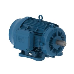 01009ET3E284T-W22 WEG Motor 10HP 8P 284/6T WFF2 - image 1
