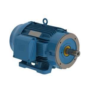 01009ST3QIE284TC-W22 WEG Motor 10HP 8P 284/6TC WFF2 - image 1