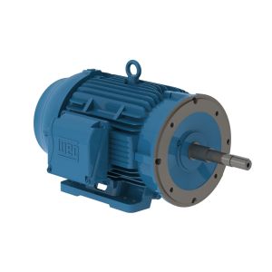 01012ET3E256JP-W22 WEG Motor 10HP 6P 254/6JP WFF2 - image 1