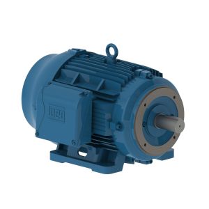 01012ET3E256TC-W22 WEG Motor 10HP 6P 254/6TC WFF2 - image 1