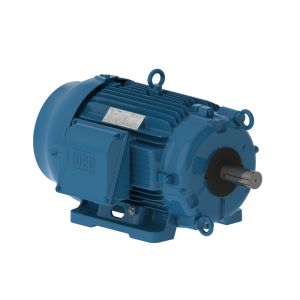 01012ET3ECT256TF1-W2 WEG Motor 10HP 6P 254/6T WFF2 - image 1