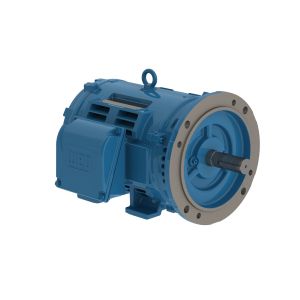 01012OT3E256TC-W40 WEG MOTOR 10HP 6P 254/6TC WFA2