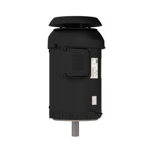 01018ET3HR215TC-S WEG Motor 10HP 4P 213/5TC WCF2 - image 1