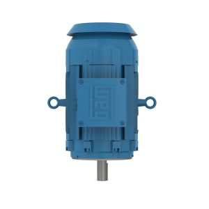 01018XT3ER215TC WEG MOTOR 10HP 4P L215TC WFX1