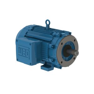 01018XT3H215T WEG MOTOR 10HP 4P L215T WFX1