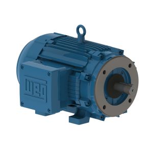 01018XT3H215TC WEG MOTOR 10HP 4P L215TC WFX1