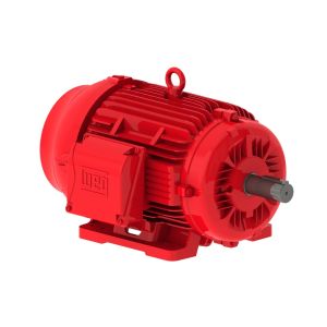 01515EP3OFP254T-W22 WEG Motor 15HP 4P 254/6T WFF2 - image 1