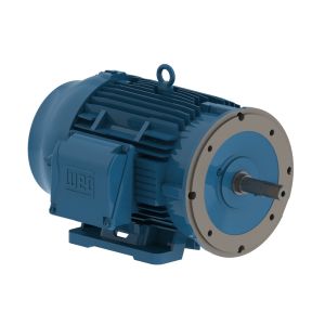 01518ET3E254JM-W22 WEG Motor 15HP 4P 254/6JM WFF2 - image 1