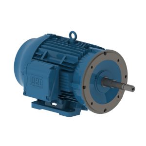 01518ET3H254JP-W22 WEG Motor 15HP 4P 254/6JP WFF2 - image 1