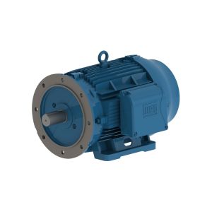 01518ET3Y160LFF-W22 WEG Motor 20HP 4P 160L WFF2 - image 1